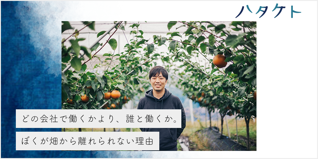 どの会社で働くかより、誰と働くか 。ぼくが畑から離れられない理由【ファームサイド株式会社 佐川友彦】 aiyueyo