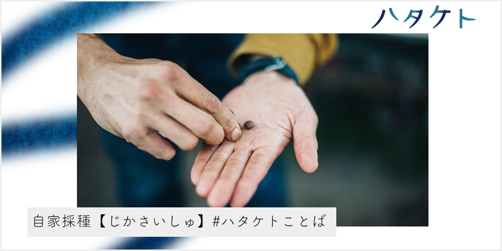 自家採種【じかさいしゅ】 aiyueyo